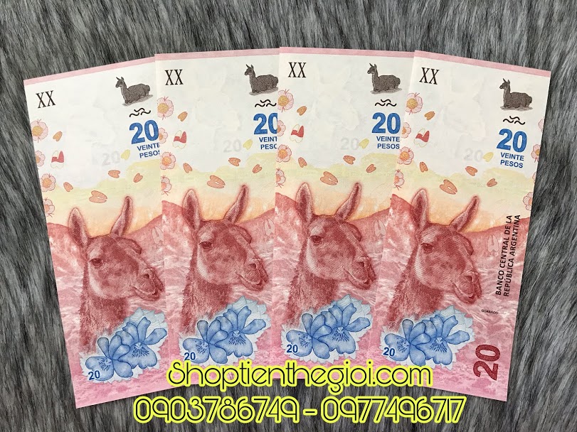 tiền của argentina 1